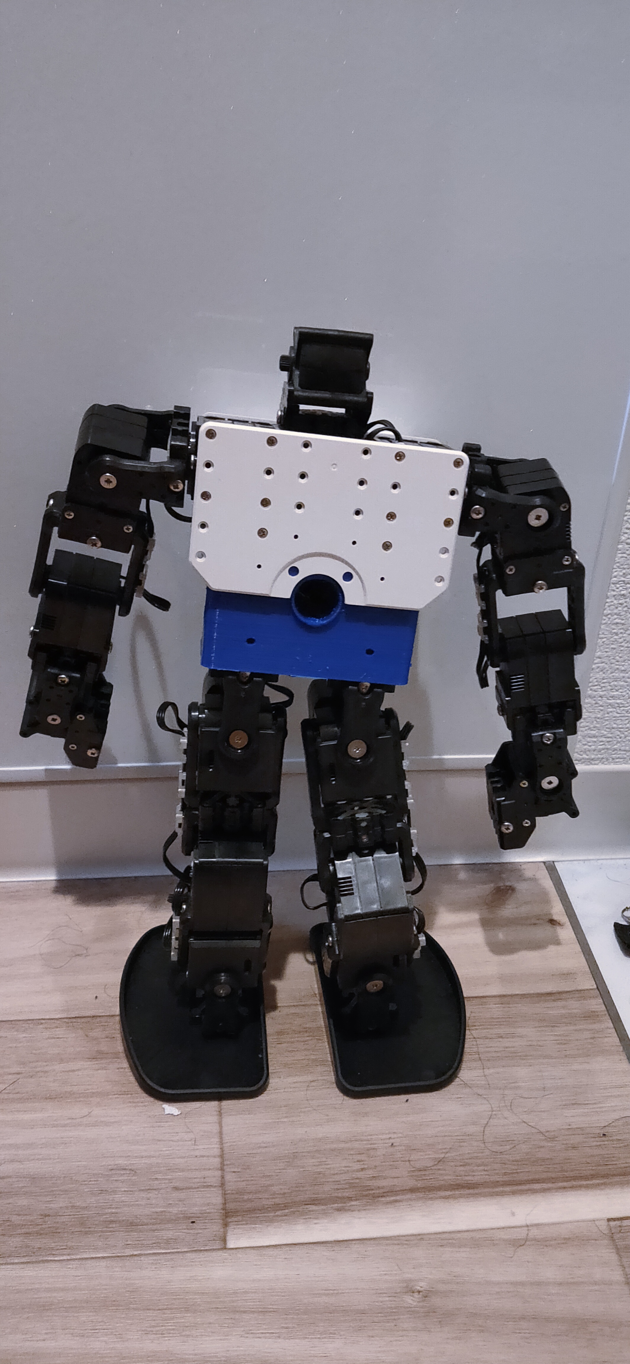 2021 ヒト型レスコン